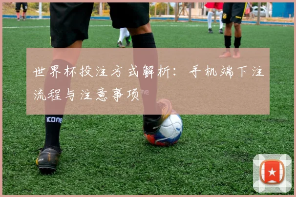 世界杯投注方式解析：手机端下注流程与注意事项