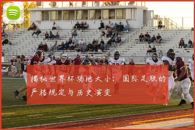 揭秘世界杯场地大小:国际足联的严格规定与历史演变