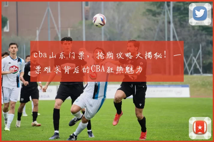 cba山东门票，抢购攻略大揭秘！一票难求背后的CBA狂热魅力