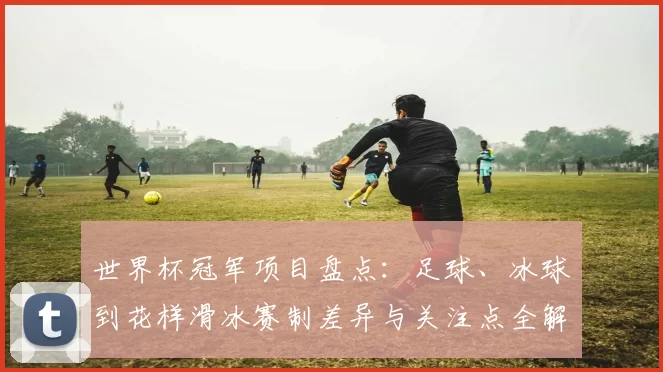 世界杯冠军项目盘点：足球、冰球到花样滑冰赛制差异与关注点全解读