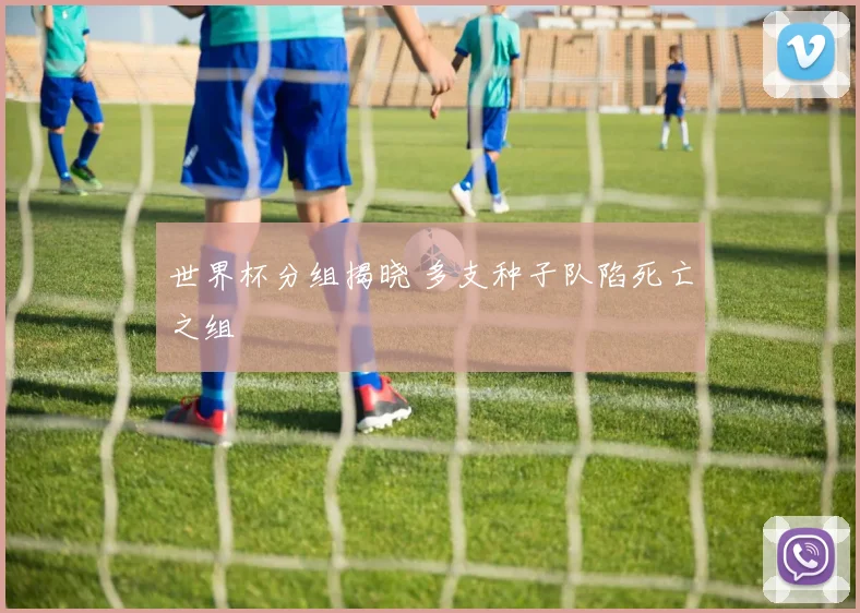 世界杯分组揭晓 多支种子队陷死亡之组