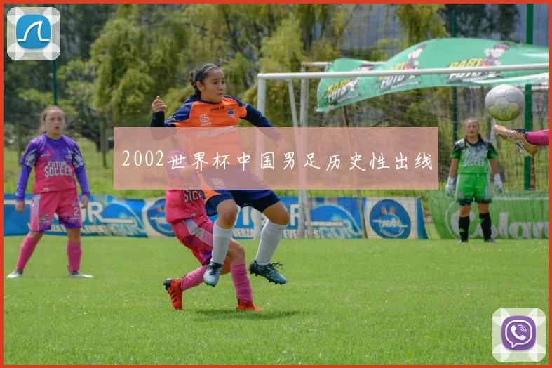 2002世界杯中国男足历史性出线