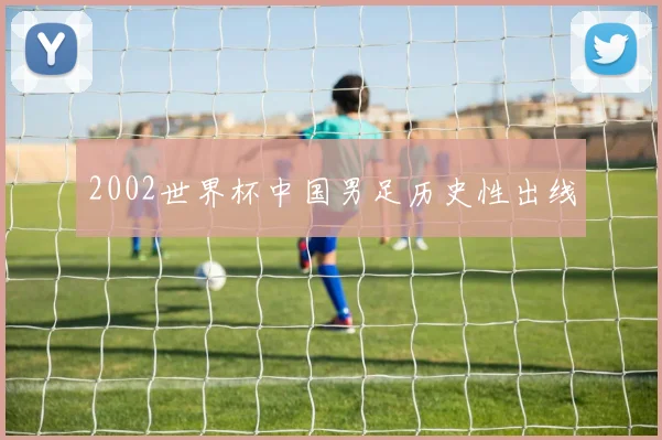 2002世界杯中国男足历史性出线