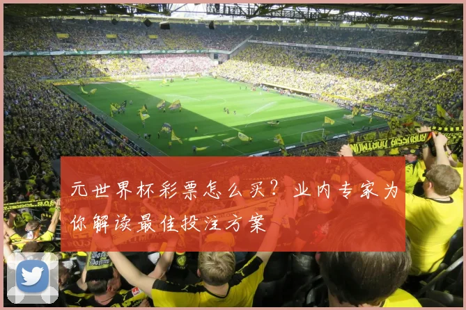元世界杯彩票怎么买?业内专家为你解读最佳投注方案